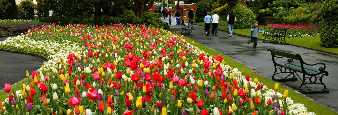 Wellington Botanic Garden, Kelburn, Wellington 6012, New Zealand