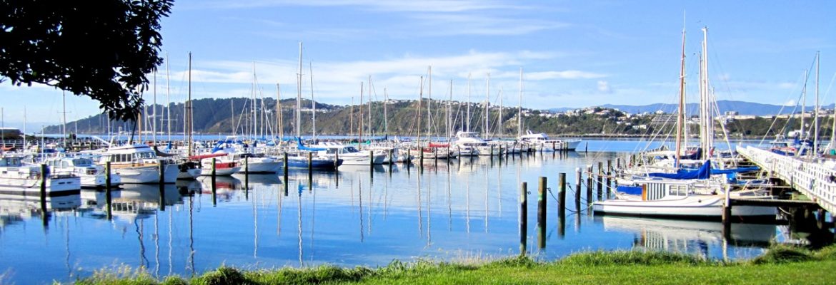 The Pier, Evans Bay Parade, Hataitai, Wellington 6021, New Zealand