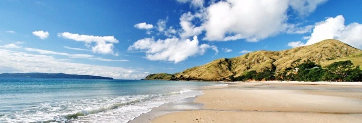 Otama Beach, Waikato 3592, New Zealand
