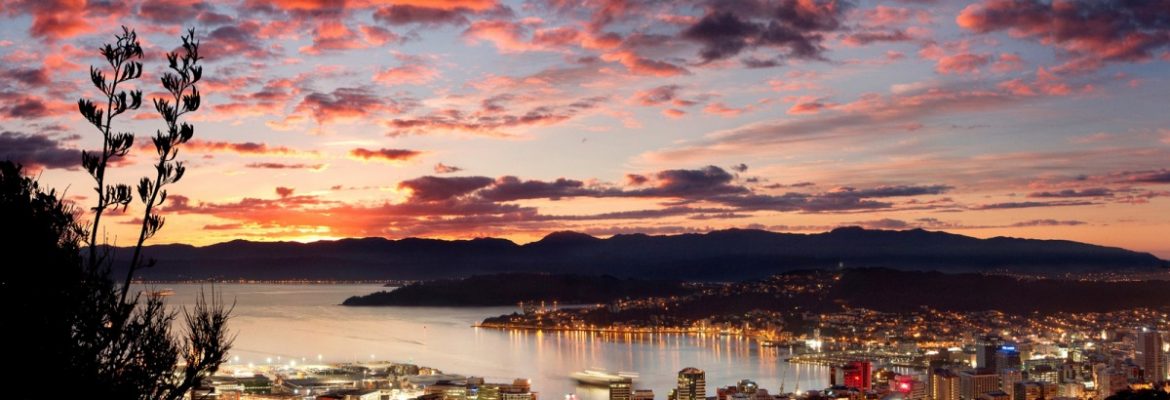 Te Ahumairangi Hill Lookout, Wellington 6012, New Zealand
