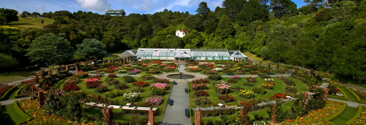 The Lady Norwood Rose Garden, Kelburn, Wellington 6012, New Zealand